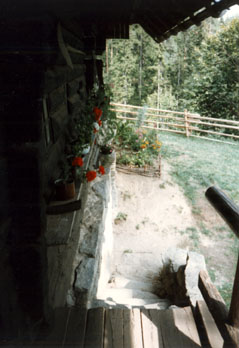 eika image